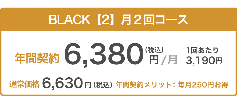 【M2】月２回コース